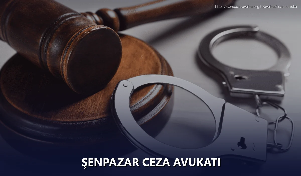 Şenpazar Ceza Avukatı